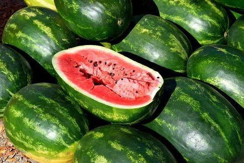 吃瓜环节视频大全,视频大全带你领略娱乐圈风云变幻