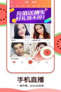 怎么看吃瓜视频直播,揭秘热门直播背后的秘密